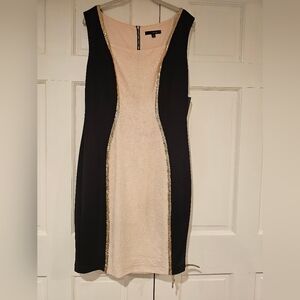 Elegant Black and Soft Pink Dress with Gold Accents